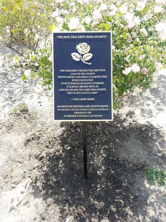 Memorial plaque in a rose garden 